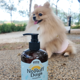 Community furkid