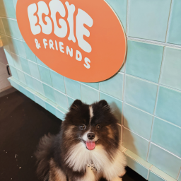 Community furkid