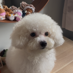 Community furkid